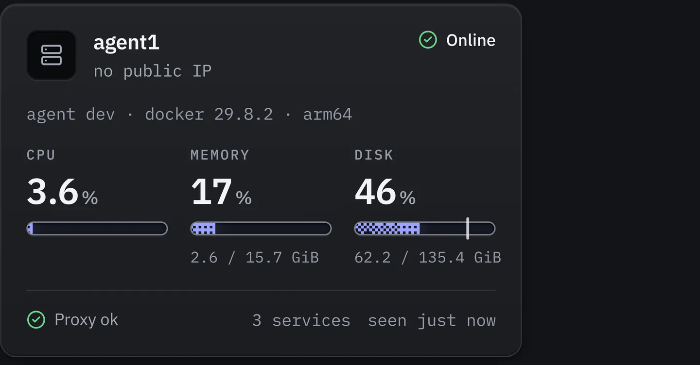 A server card for agent1, online. Agent and Docker versions, CPU, memory and disk readings, each with a bar drawn in dither, and a mark on the disk bar. Below: proxy ok, 3 services, seen just now.